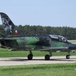 Aero L-159 ALCA, Czech Air Force (special livery celebrating 20 years of operation)