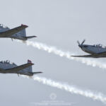 Silver Swallows