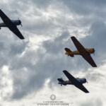 T-6 Texan formation