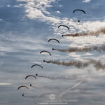Flying Dragons
